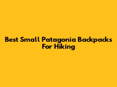 Best Small Patagonia Backpacks For Hiking