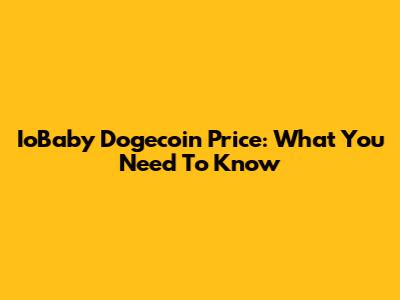 IoBaby Dogecoin Price: What You Need To Know