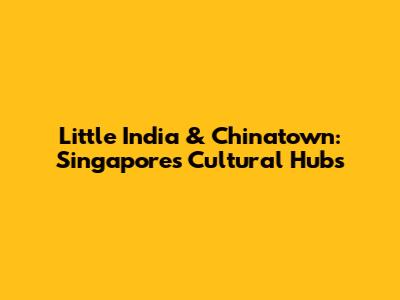 Little India & Chinatown: Singapore's Cultural Hubs