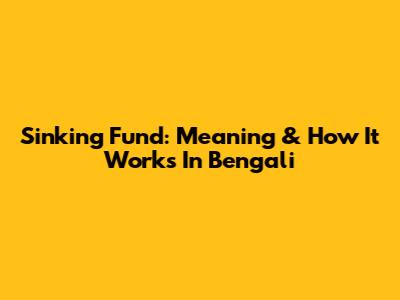 Sinking Fund: Meaning & How It Works In Bengali