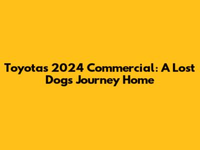 Toyota's 2024 Commercial: A Lost Dog's Journey Home