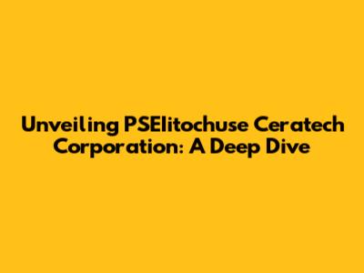 Unveiling PSEIitochuse Ceratech Corporation: A Deep Dive